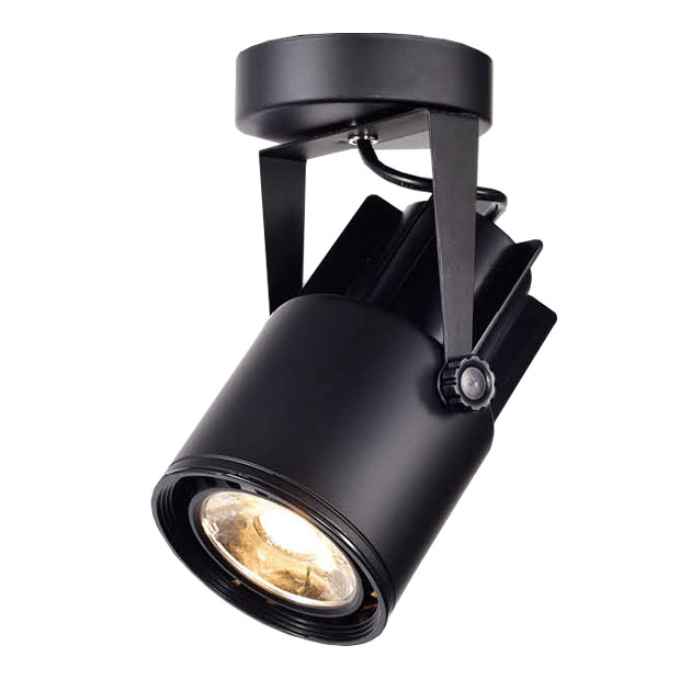 PAR30 E27光源 LED吸頂燈