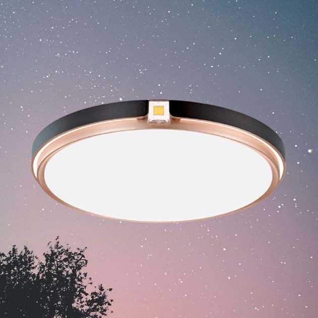 星寰吸頂燈(有兩色)