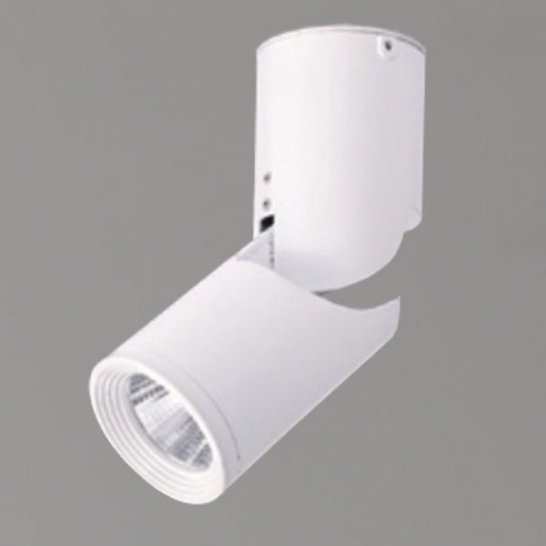 寬心吸頂燈(有兩色)