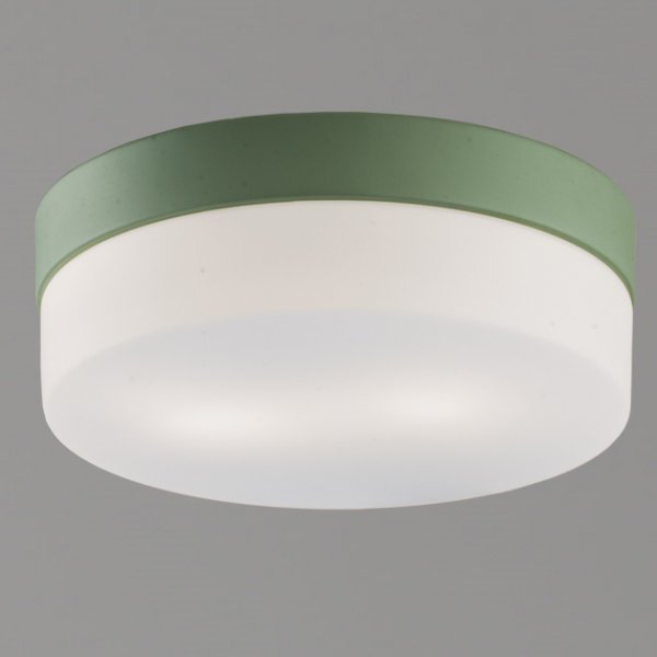 迷你吸頂燈-綠色23cm
