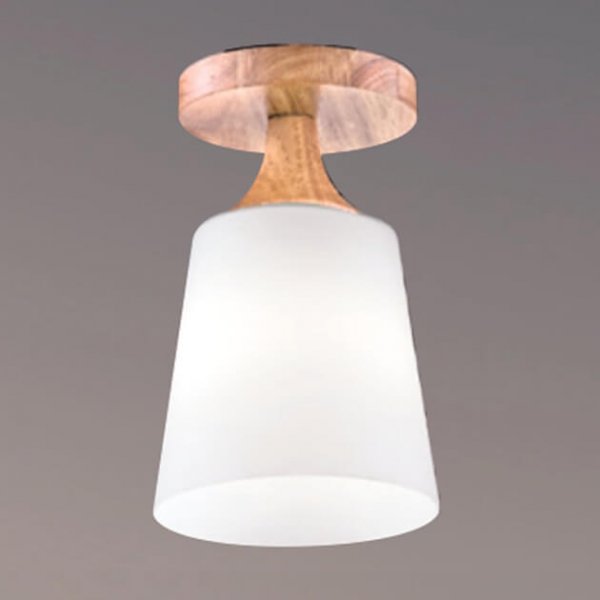 孟買之夜吸頂燈