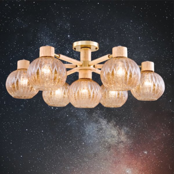 閃亮亮吸頂燈(有兩款)