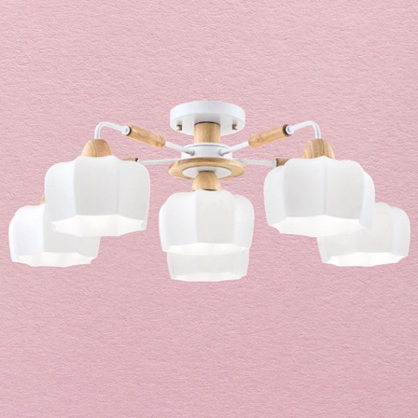 雞蛋糕吸頂燈(有兩款)