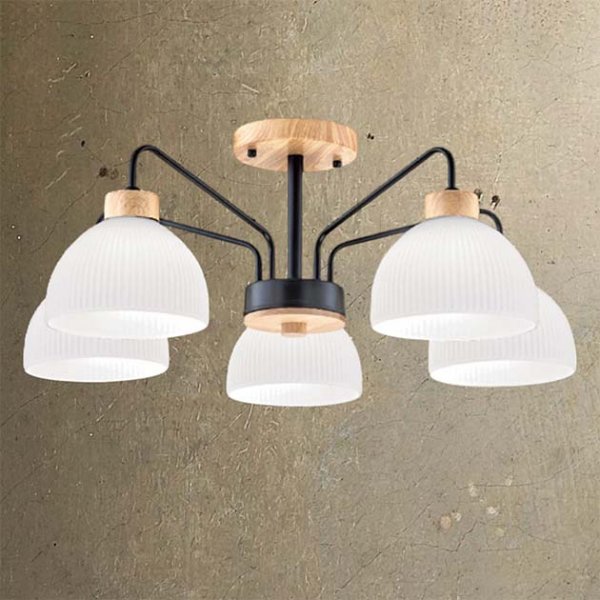 北歐光韻吸頂燈(有兩款)