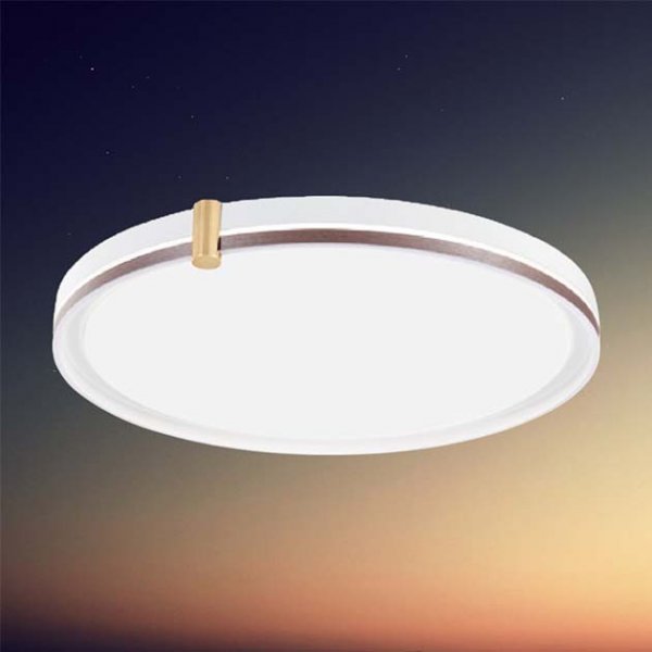 無界光環吸頂燈