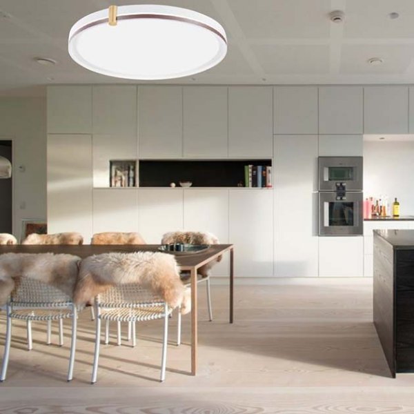 無界光環吸頂燈