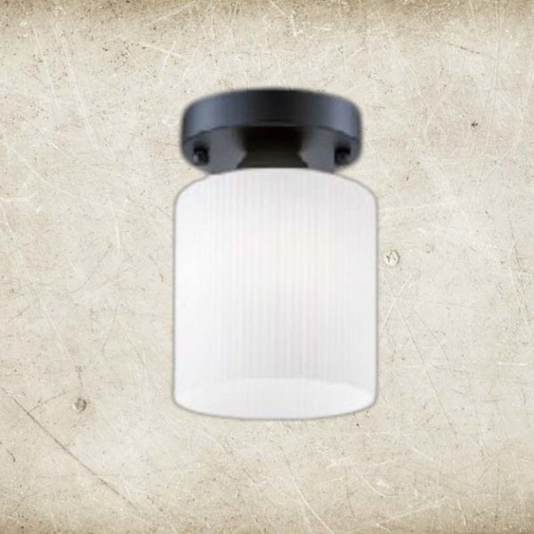 明月吸頂燈(共3色)