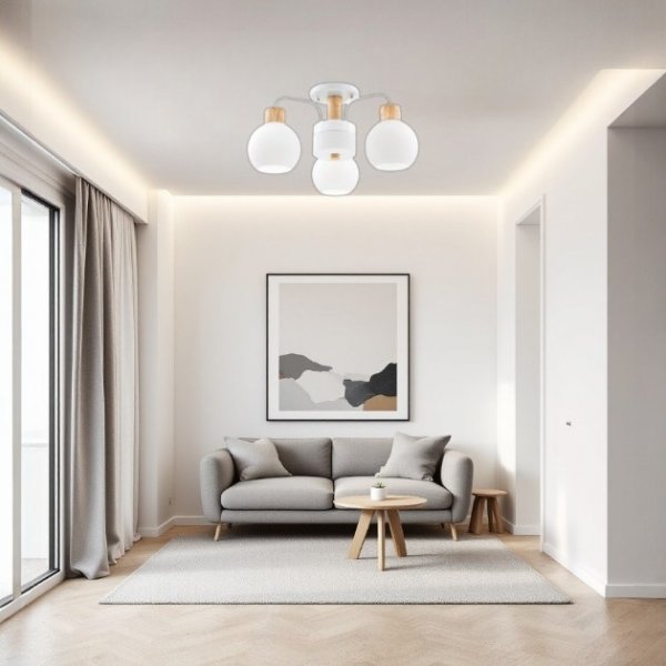 雲頂吸頂燈(有6燈 3燈)