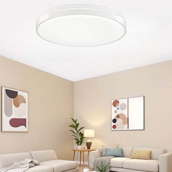 牛頭角吸頂燈(有大小款)