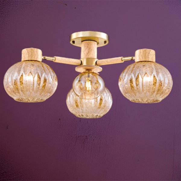 閃亮亮吸頂燈(有兩款)