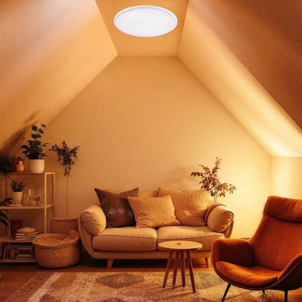 三芳吸頂燈(有兩色)(各兩種尺寸)